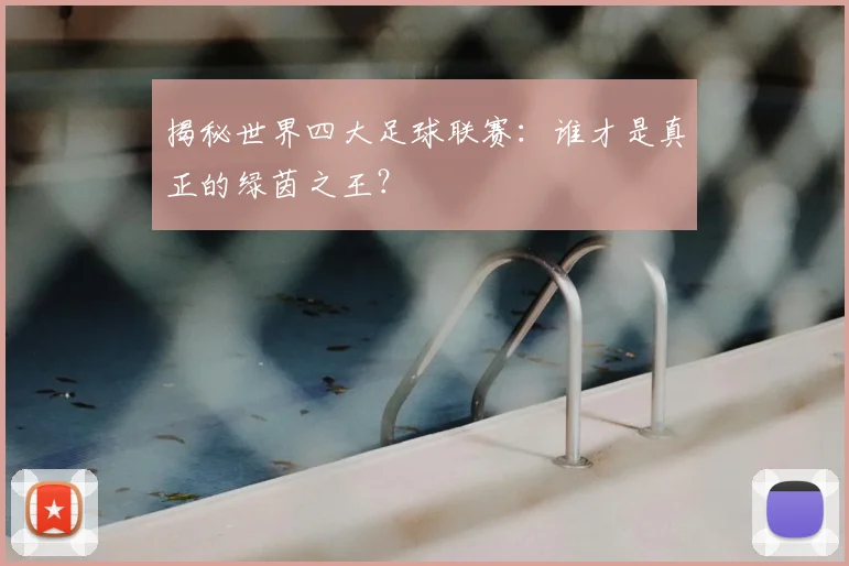 揭秘世界四大足球联赛:谁才是真正的绿茵之王?