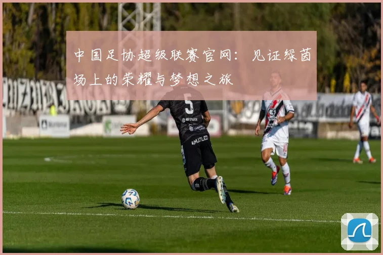 中国足协超级联赛官网:见证绿茵场上的荣耀与梦想之旅