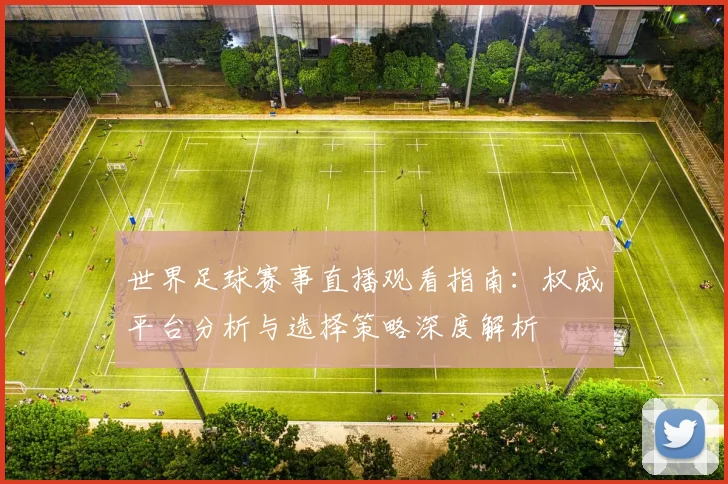 世界足球赛事直播观看指南：权威平台分析与选择策略深度解析